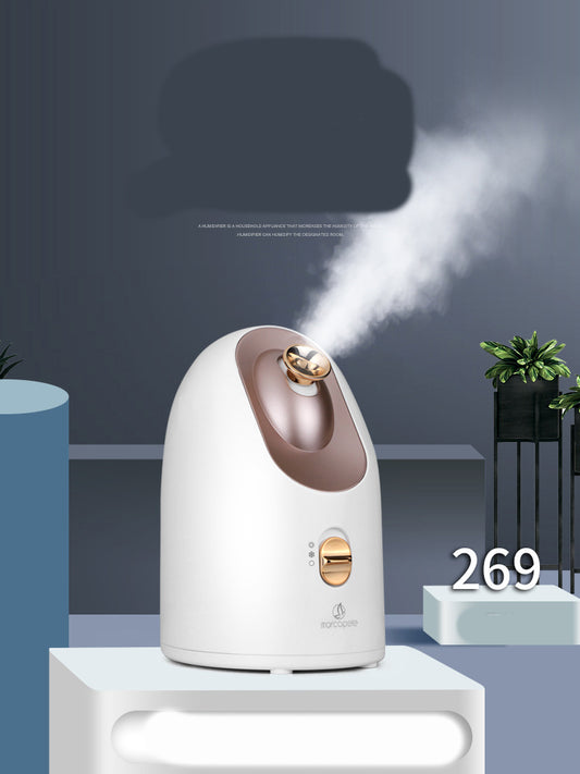 Hot & Cold Face Steamer